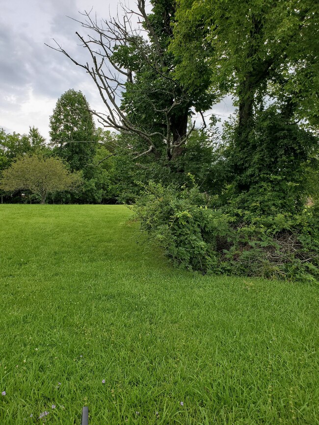 0 Highway 82 S unit RTC2545868, Shelbyville, TN 37160 - photo 3