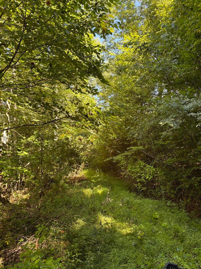 0 Morris Branch Rd unit 25-1144, Meadow Bridge, WV 25976 - photo 3