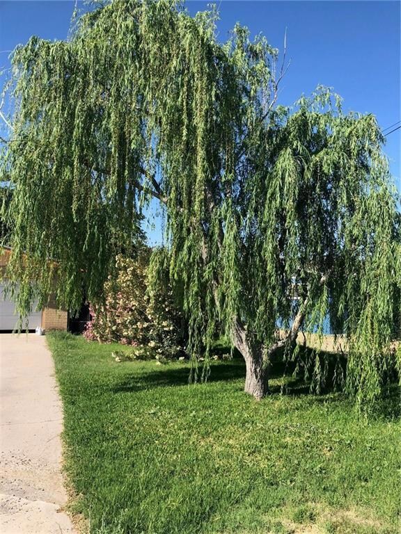 8108 Lowd Ave, El Paso, TX 79907 - photo 5