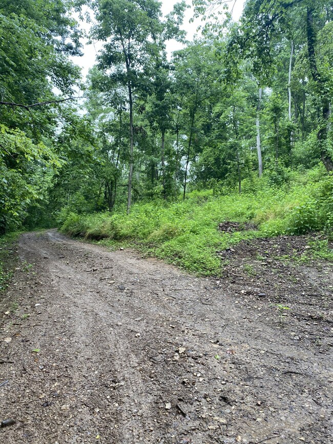 1300 Black Rd, Prospect, TN 38477 - photo 4