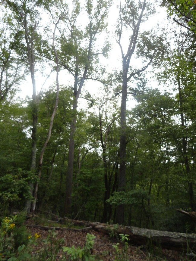 tbd Axton Rd, Axton, VA 24054 - photo 4