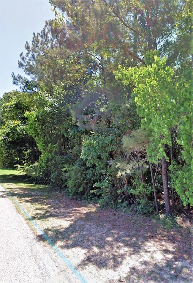 000 Eaton Rd, Tylertown, MS 39667 - photo 4