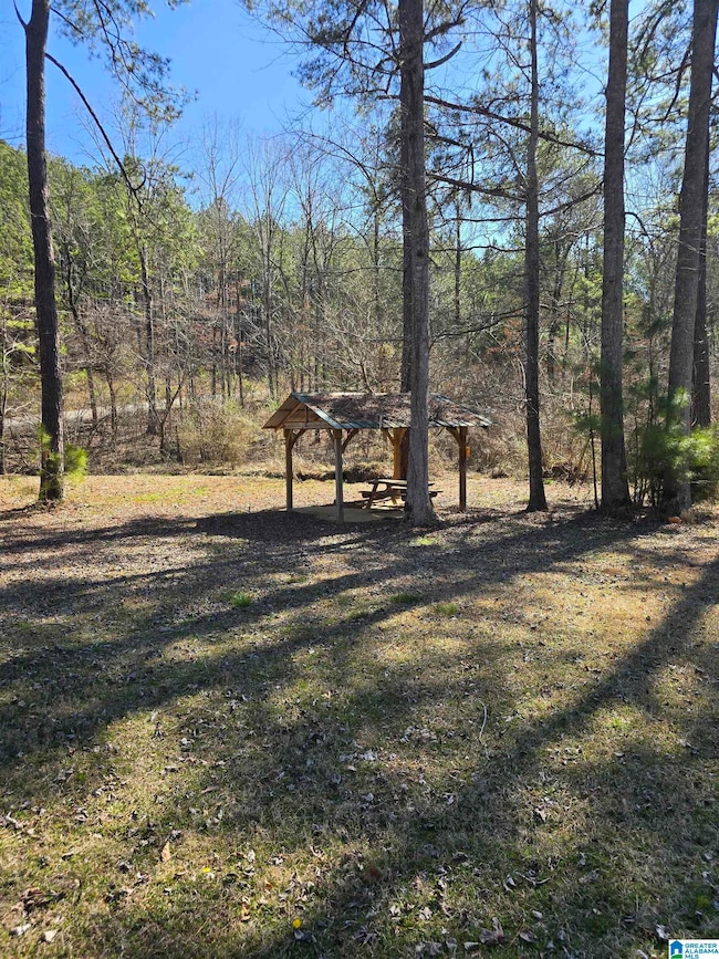 LOT 9 Paint Creek Overlook unit lot 9, Weogufka, AL 35151 - photo 3