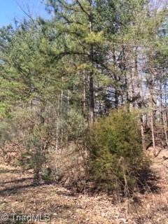 0 Canterbury Trail, Asheboro, NC 27205 - photo 3