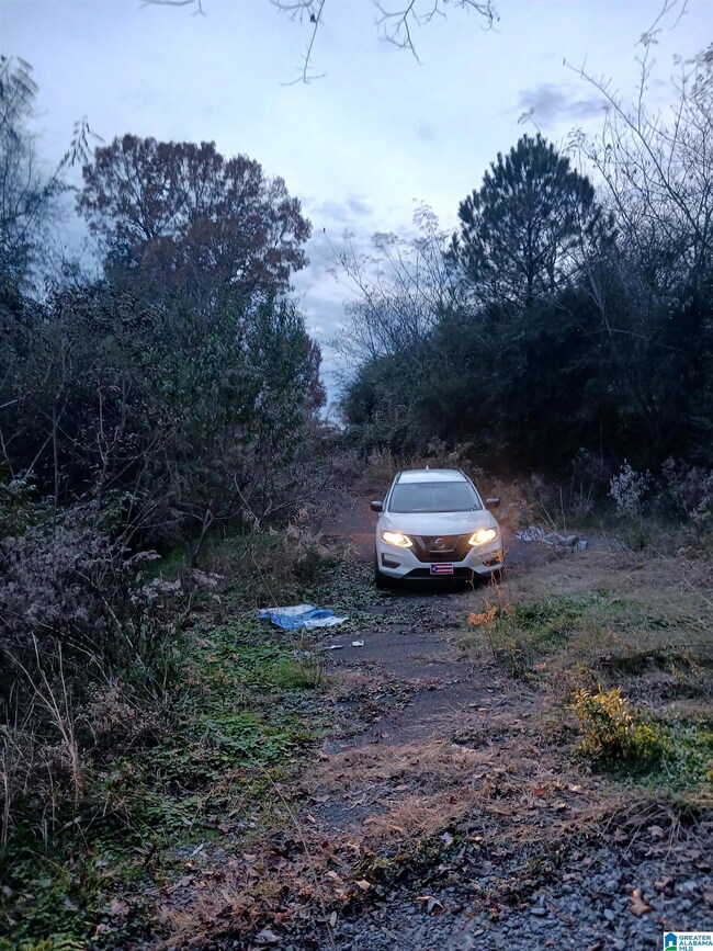 451 10th Ave SW, Graysville, AL 35073 - photo 3