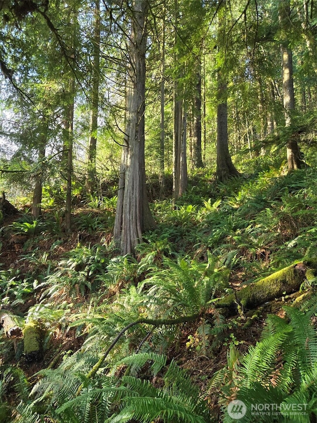 0 NKA Kendrick and Wier St, South Bend, WA 98586 - photo 6