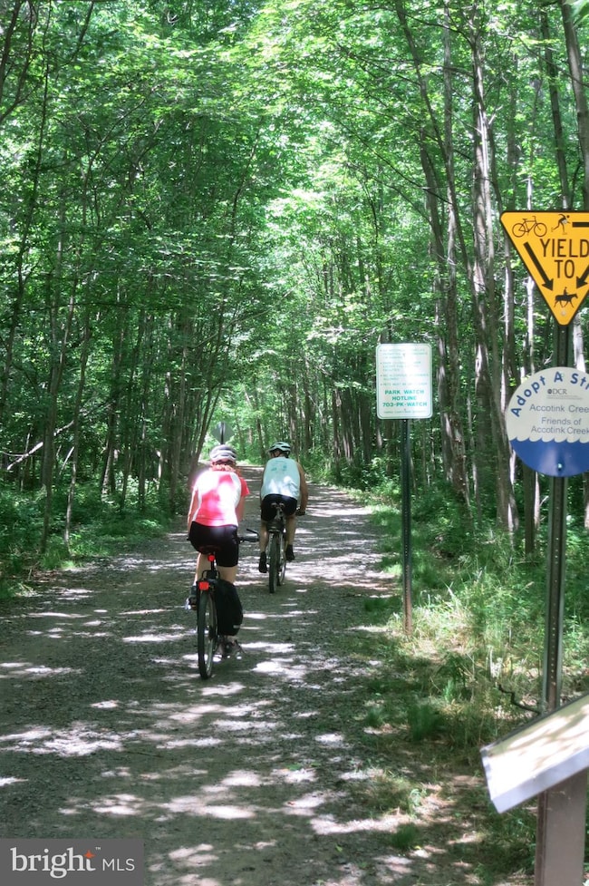 9362 Tovito Dr, Fairfax, VA 22031 - photo 7