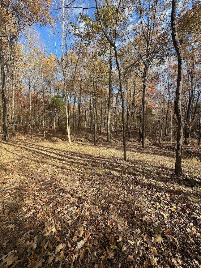 Parcel 086-00-00-027 001 Morgan Rickard Ln, Central City, KY 42330 - photo 4