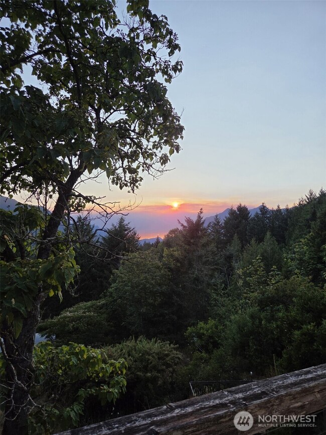 unlisted-address, Brinnon, WA 98320 - photo 7