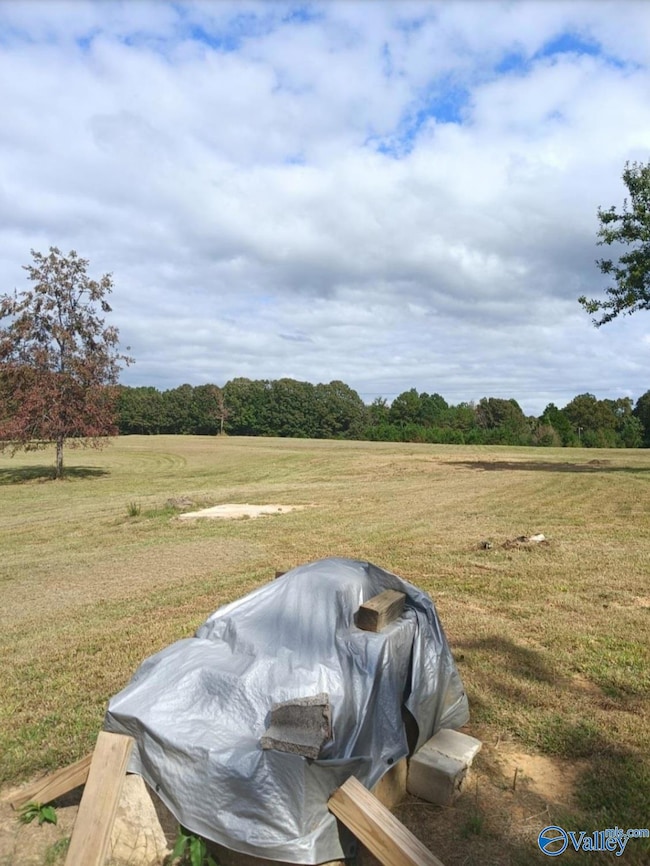 29.1 acres W County Highway 73, Hamilton, AL 35570 - photo 3