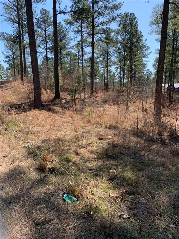 0 Eagle Mountain Trail E unit Lot 54 901735, Broken Bow, OK 74728 - photo 4