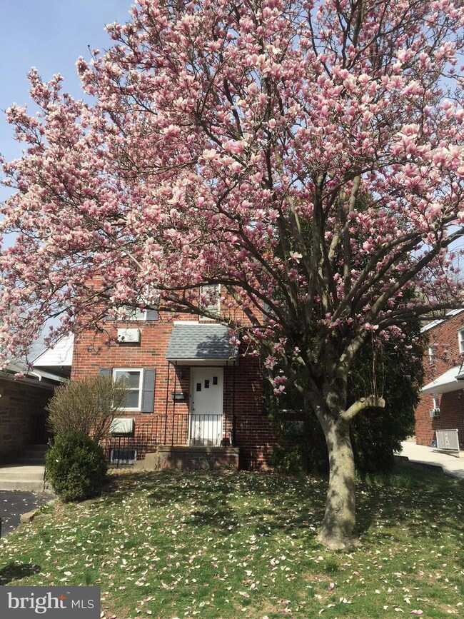 28 Alameda Rd unit 1ST FLOOR, Broomall, PA 19008 - photo 2