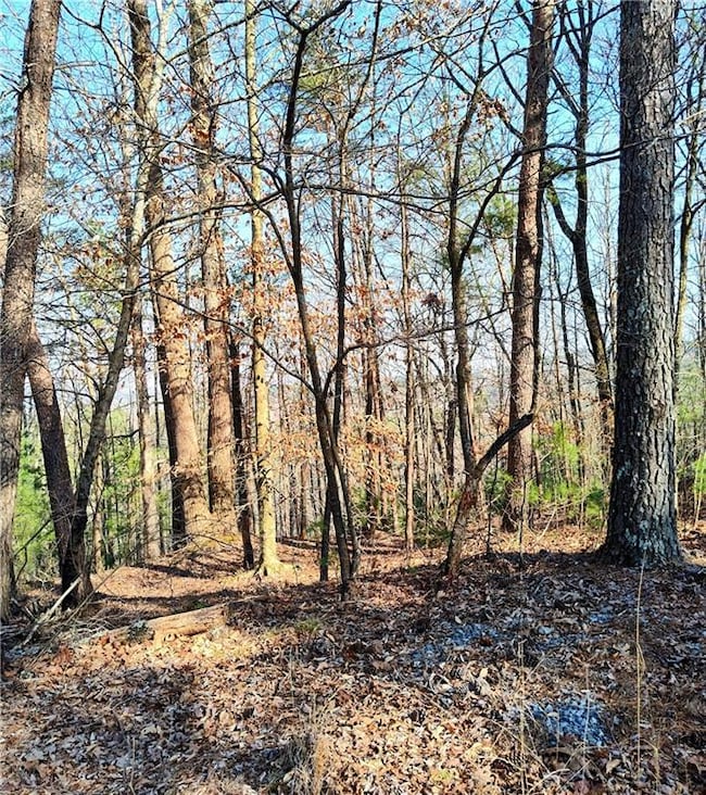 View of landscape
