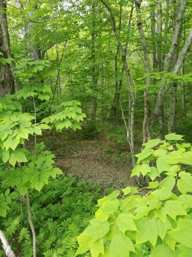 20190616_173715