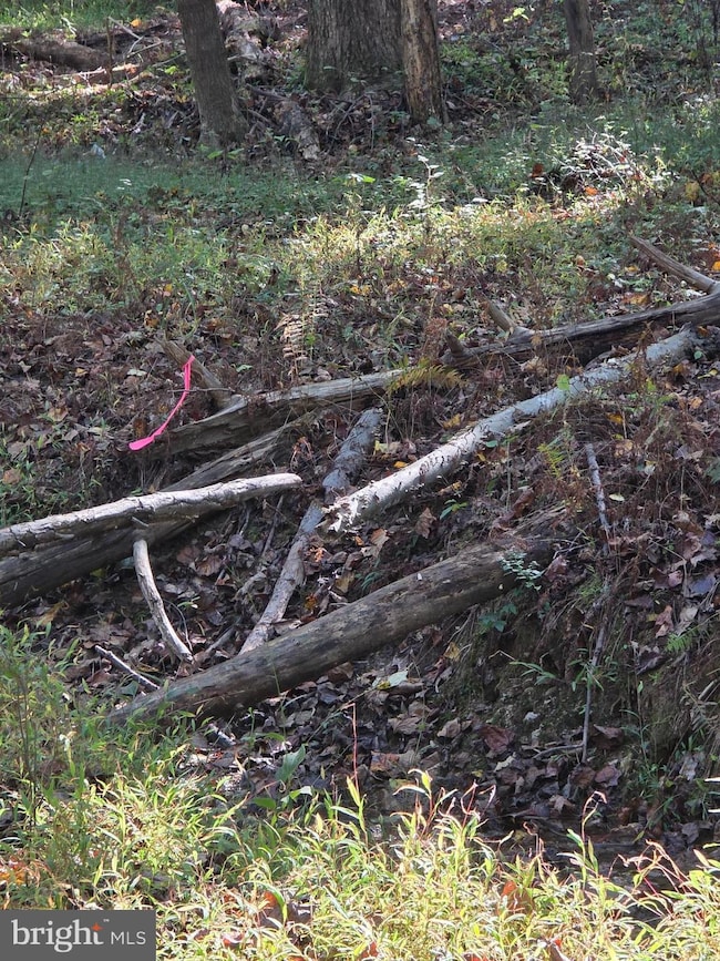 3816 A Jim Smith Ln, New Windsor, MD 21776 - photo 3