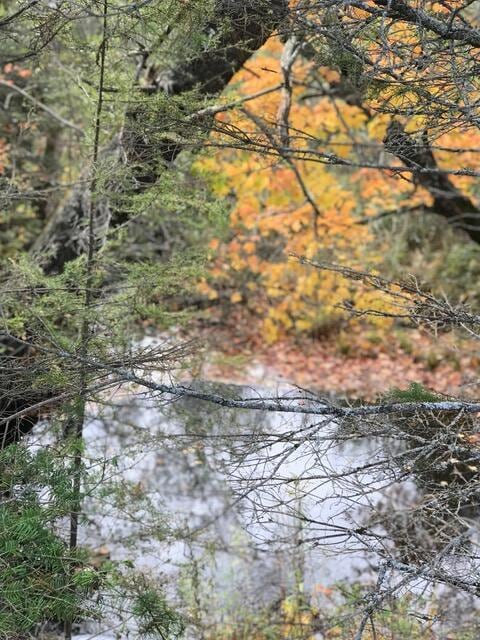 1860 E Swede Rd, Cedarville, MI 49719 - photo 2