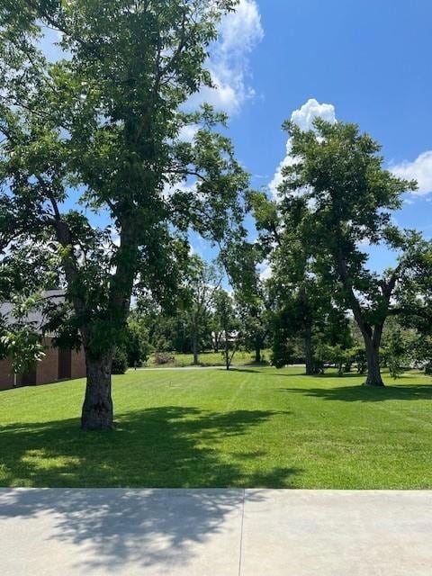 118 Gum St, Ailey, GA 30410 - photo 3