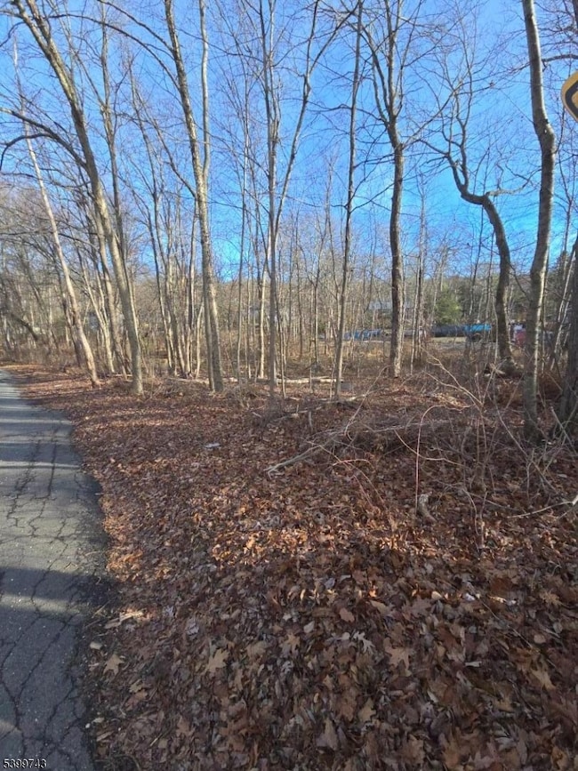 00 Linwood Rd, West Milford, NJ 07421 - photo 4