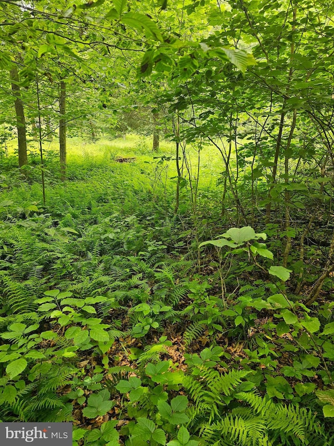 00 Pisgah Rest, Shermans Dale, PA 17090 - photo 3