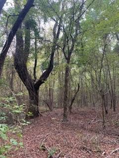 3122 County Rd, Clarksville, TX 75426 - photo 2