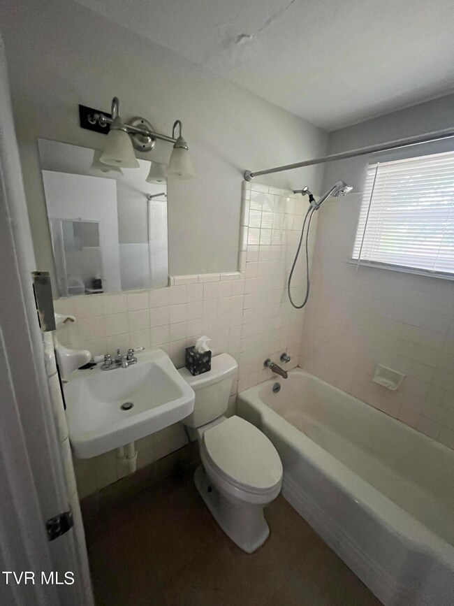 1419 E Holston Ave, Johnson City, TN 37601 - photo 6