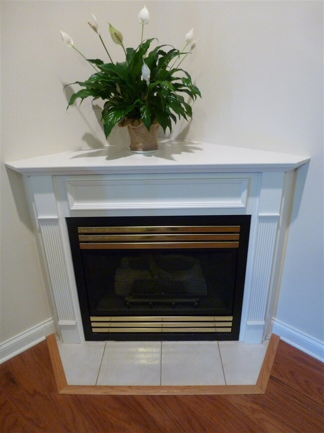 This gas log fireplace provides a warm solution fo