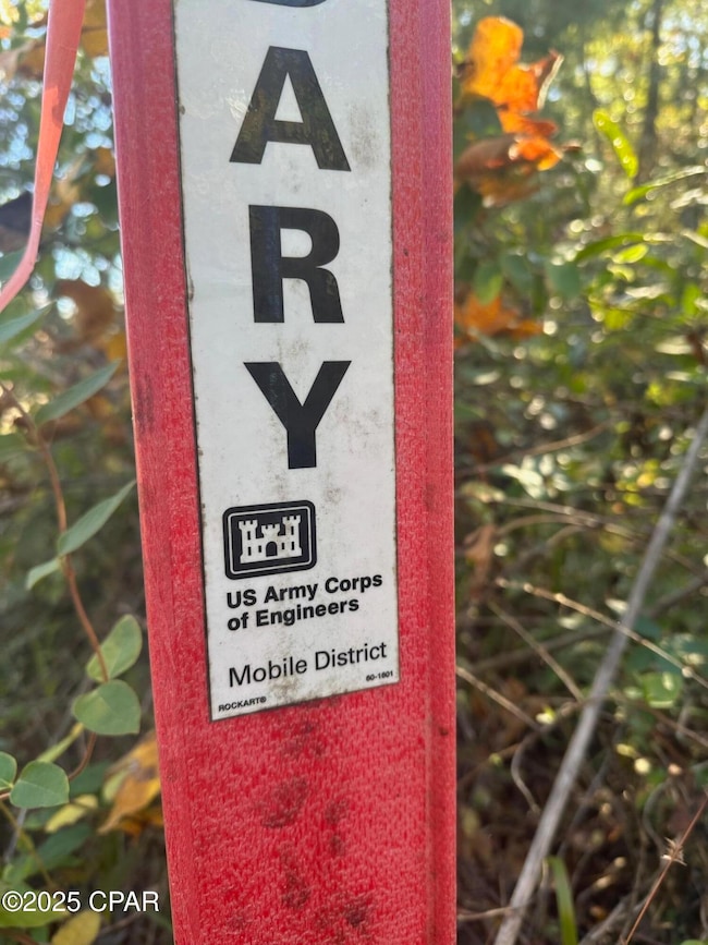 0 Parramore Rd, Sneads, FL 32460 - photo 7