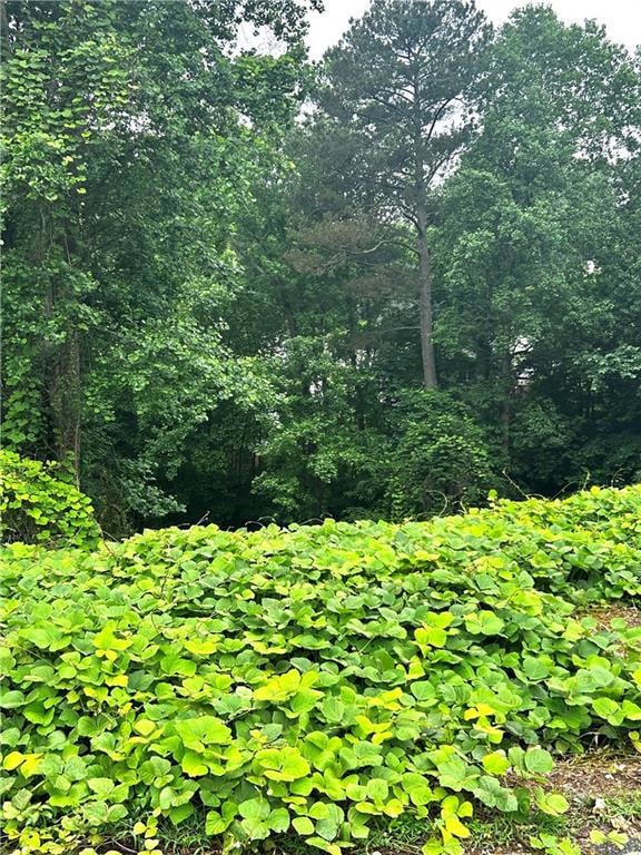 View of undeveloped land