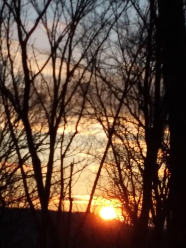 167 Red Bud Trail, West Fork, AR 72774 - photo 2