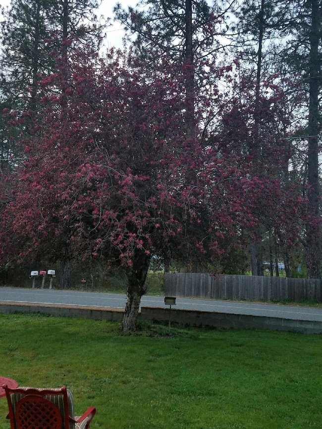 3263 De Woody Ln, Grants Pass, OR 97527 - photo 2