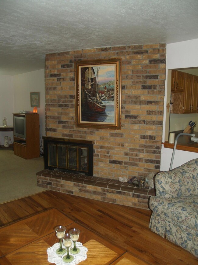 gas fireplace