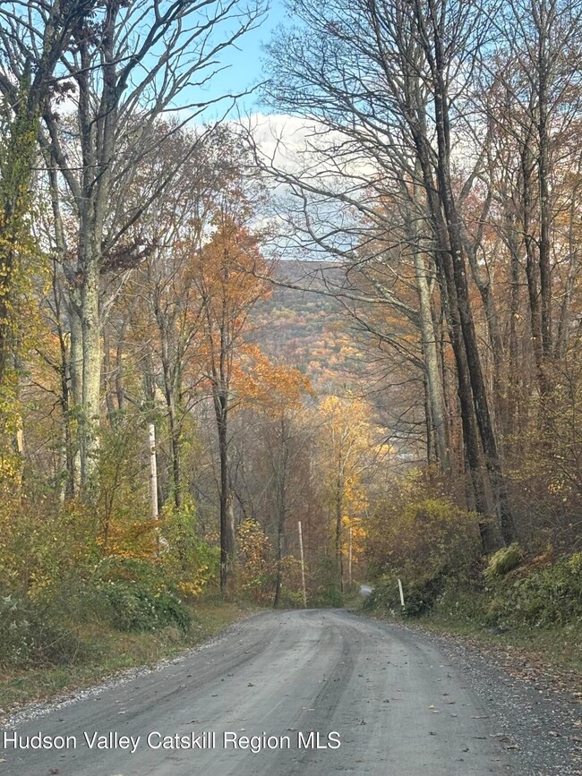 0 Carson Rd, Ancram, NY 12502 - photo 6