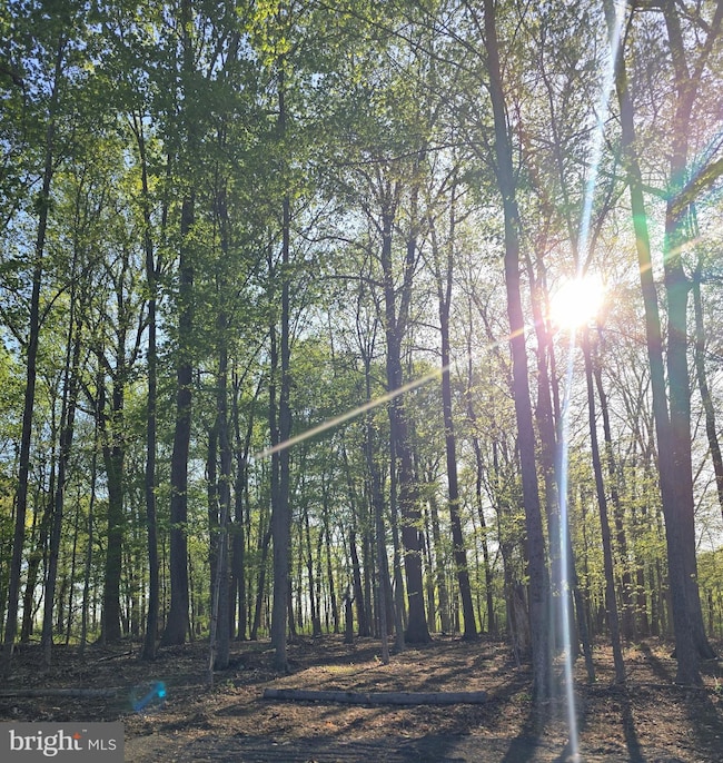 6465 Greenhill Rd, Lumberville, PA 18933 - photo 7