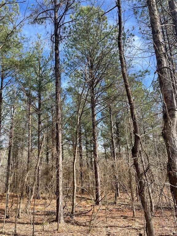 774 Timber Creek Trails South XI, Broken Bow, OK 74728 - photo 5