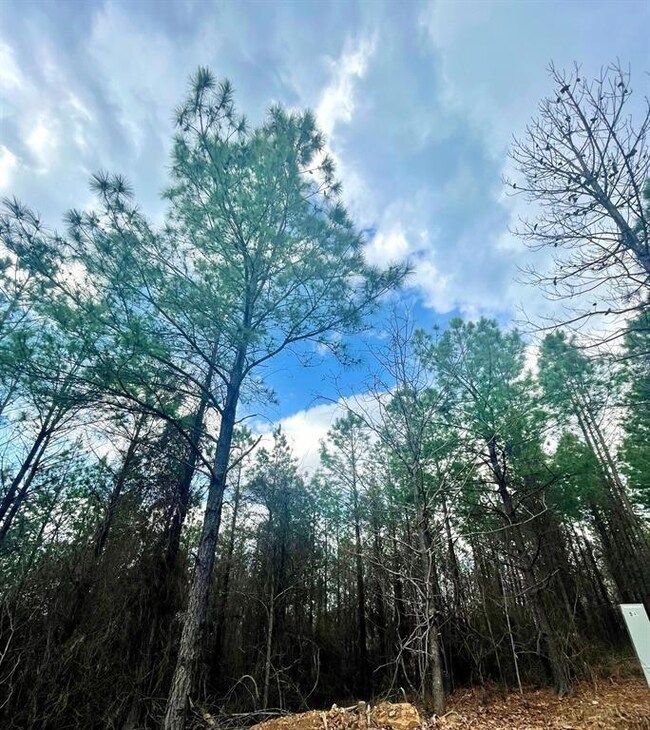 117 Sugar Plum Ln, Broken Bow, OK 74728 - photo 6