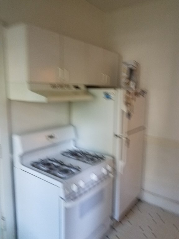 57 Manchester Rd unit 1, Brookline, MA 02446 - photo 6