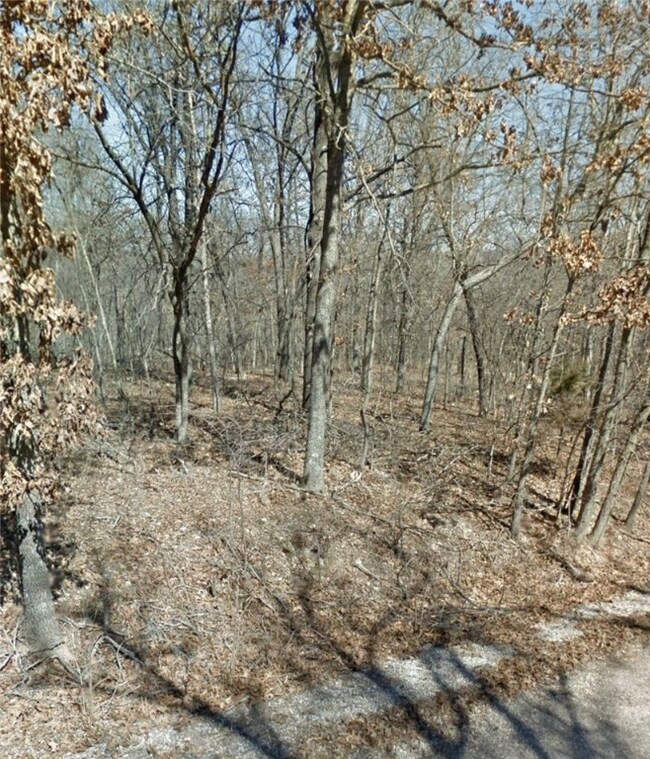 0 Kings Lynn Ln unit 1228590, Bella Vista, AR 72715 - photo 3