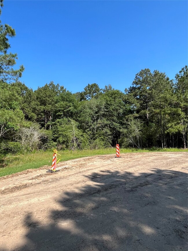 22091 Bryantwood Ct, Hockley, TX 77447 - photo 3