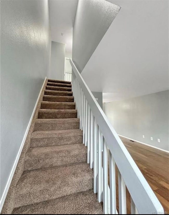 3033 Starlight Cir, Colorado Springs, CO 80916 - photo 7