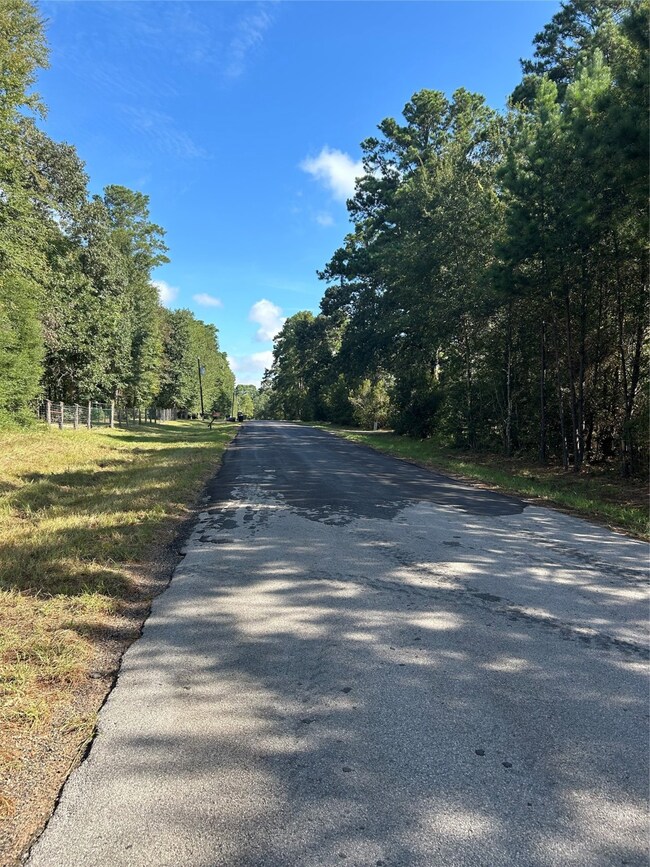 24585 Emily Way, Hockley, TX 77447 - photo 4