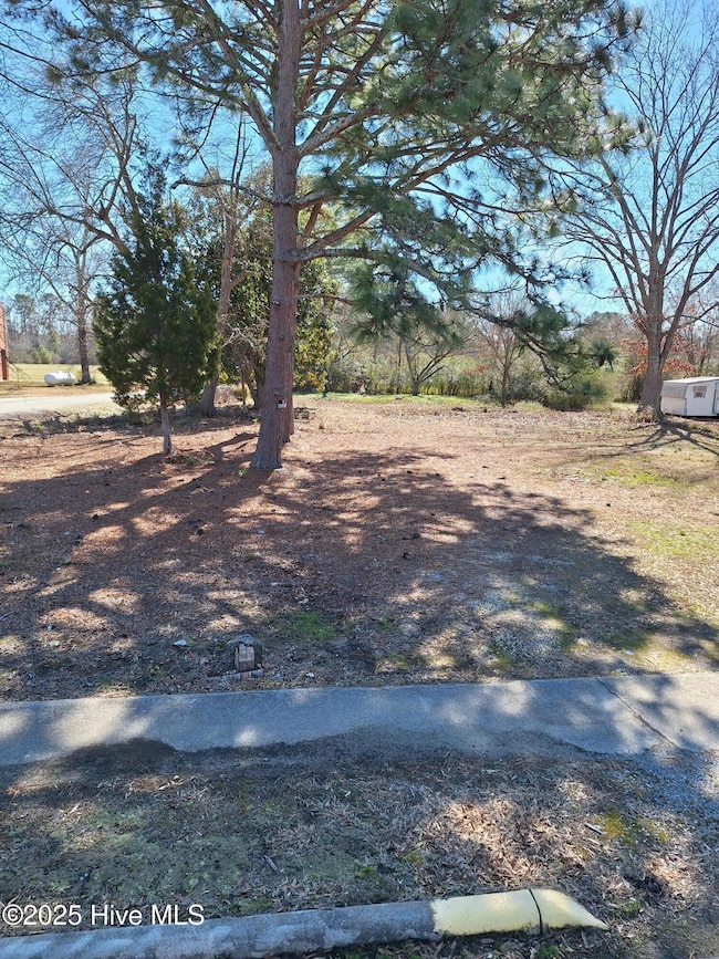 Tbd Roberts Rd, Rich Square, NC 27869 - photo 2