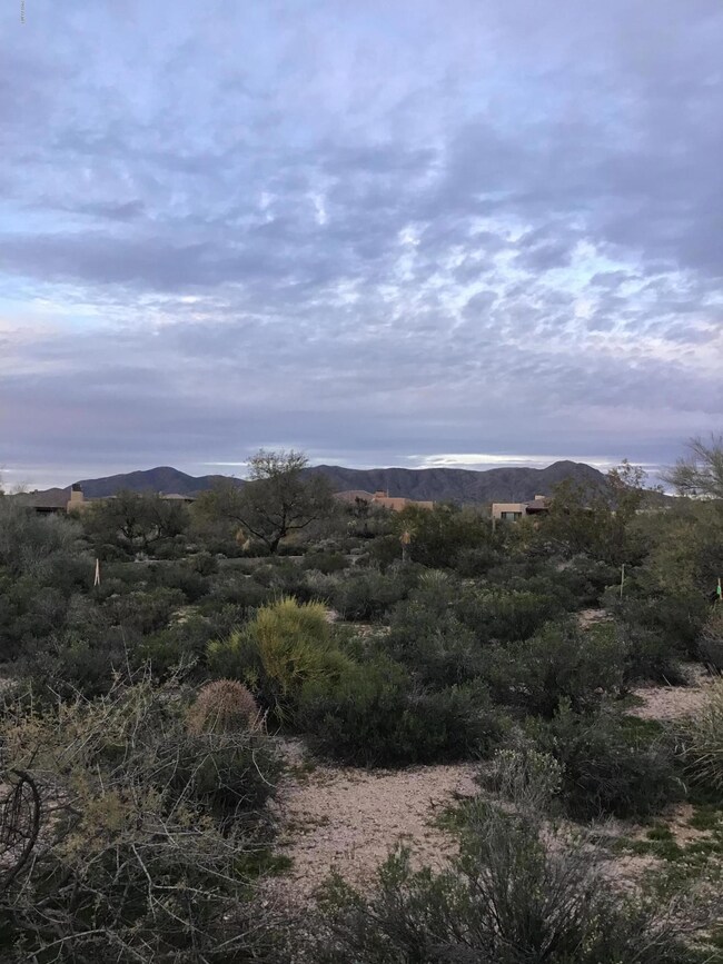 9820 E Miramonte Dr unit 273, Scottsdale, AZ 85262 - photo 2