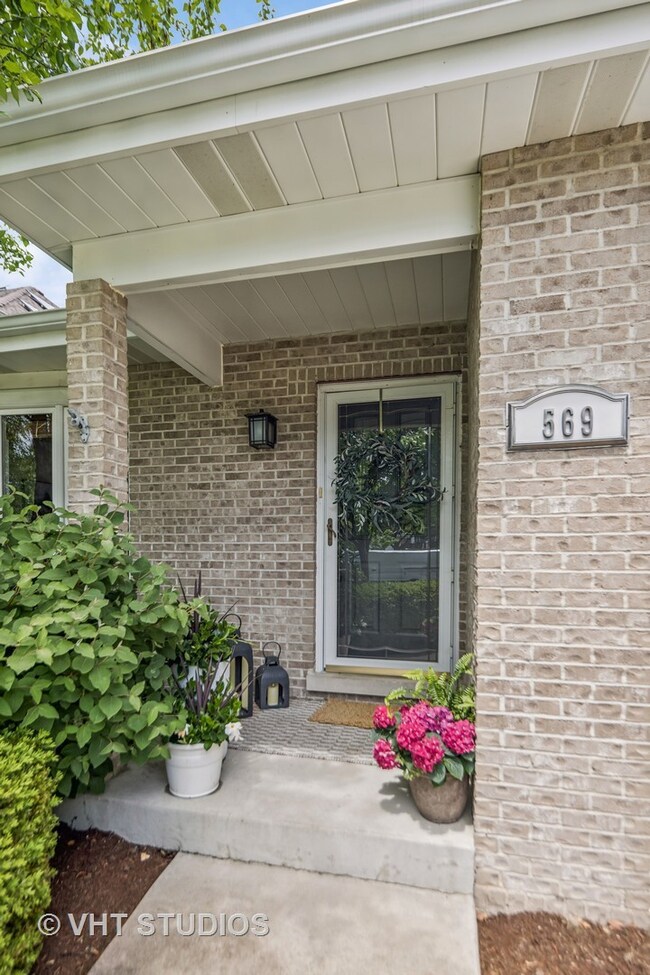 569 W Armitage Ave, Elmhurst, IL 60126 - photo 4