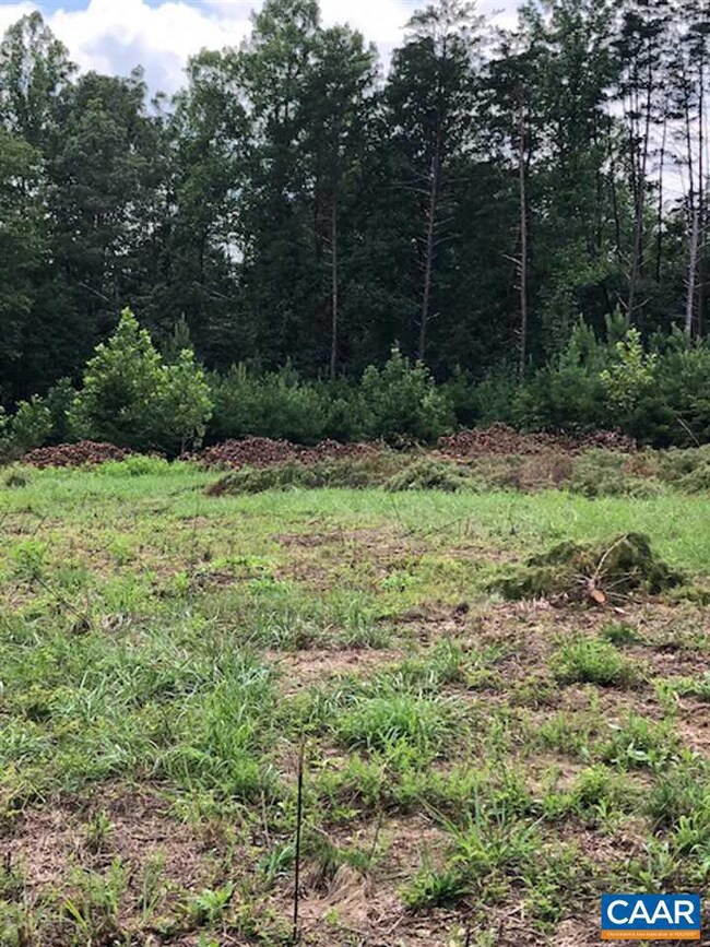 0 Esmont Rd unit 582724, Esmont, VA 22937 - photo 2