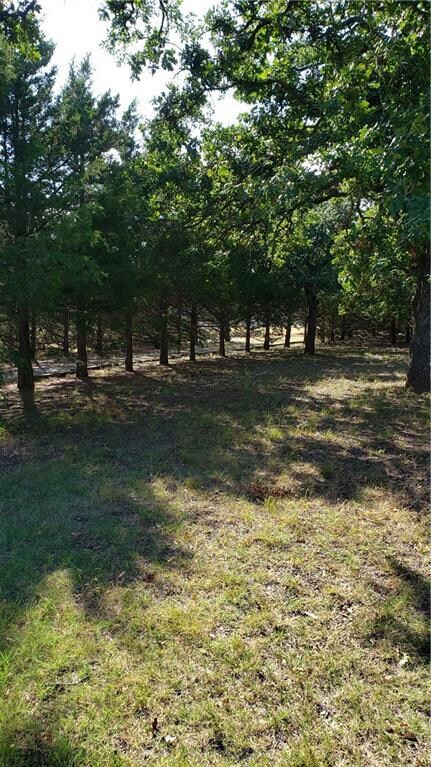 101 Red Tail Ln, McLoud, OK 74851 - photo 4