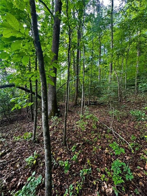 0 Camp Wahsega Rd unit 7600956, Dahlonega, GA 30533 - photo 6