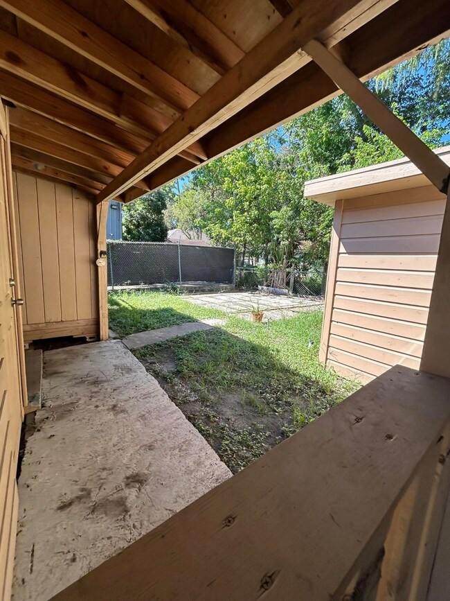 Peek into the Back yard