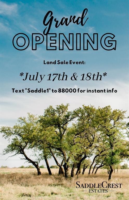 TBD 2 Old Agnes Rd, Weatherford, TX 76088 - photo 2