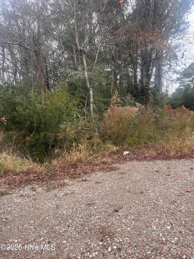 202 South, Beaufort, NC 28516 - photo 2