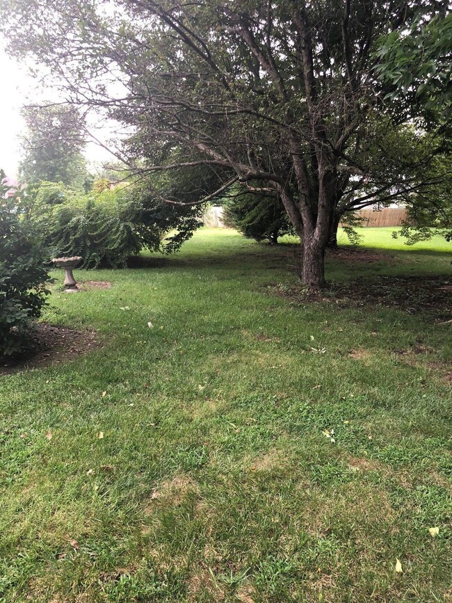 104 Hughes Ave, Berea, KY 40403 - photo 7